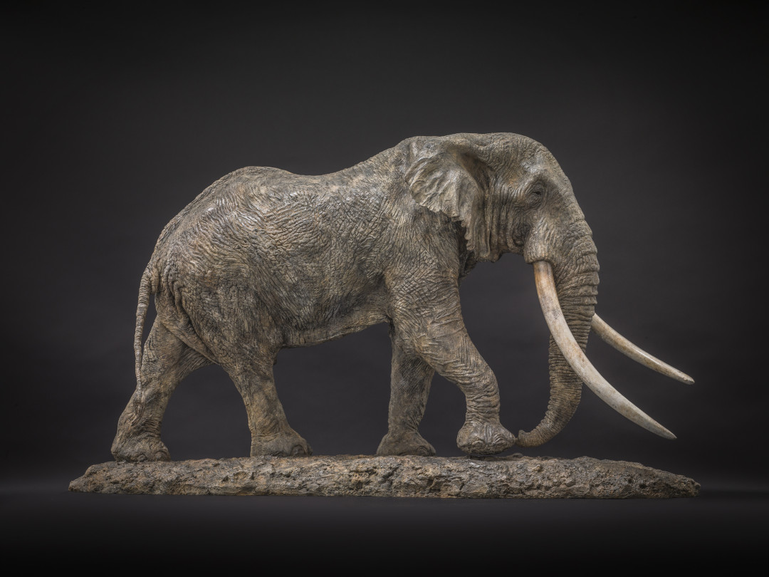 Elephant Tim – Murray Grant Bronzes